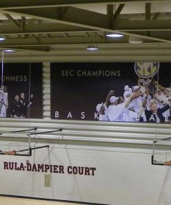 Gared Sports Gared Three Point Wall Mounted Hoop - 72 Inch Glass - Electric Height Adjuster