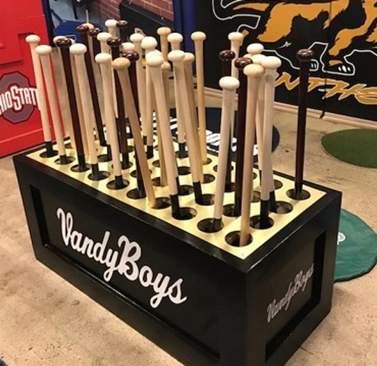 PYT Sports King Cobra Bat Box - Image 4