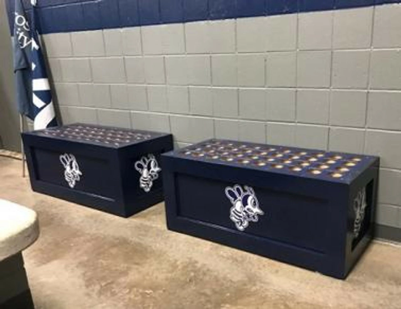 PYT Sports King Cobra Bat Box - Image 2